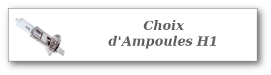 Choix d'ampoules H1