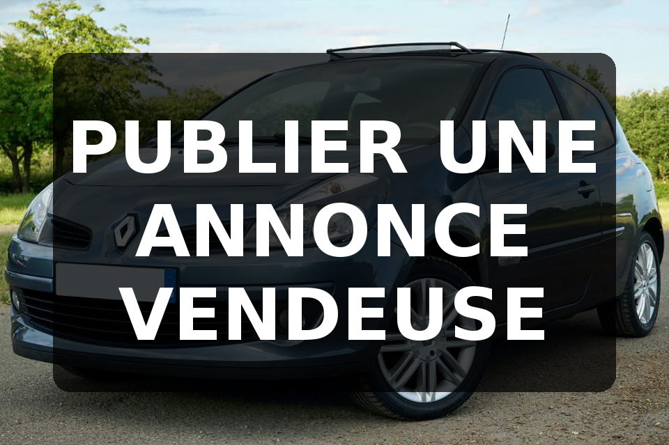 vendre sa voiture tours